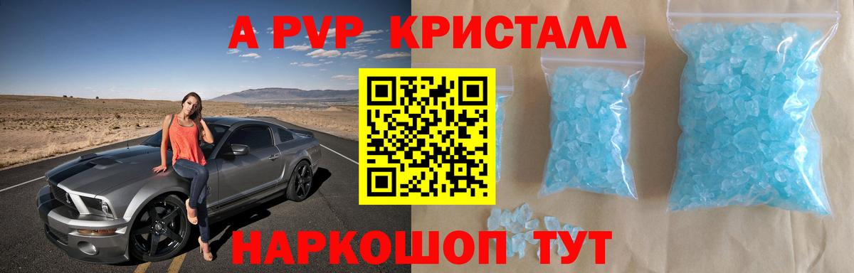 A PVP СК КРИС Ленинск-Кузнецкий