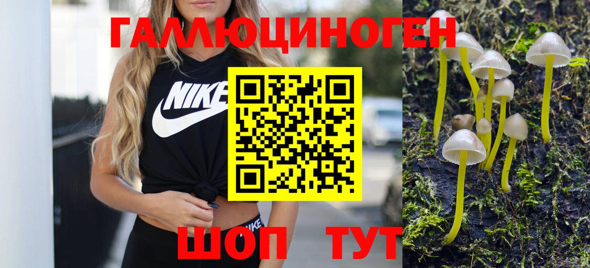Ленинск-Кузнецкий  Галлюциногенные грибы прущие грибы  Галлюциногенные грибы MAGIC MUSHROOMS  Вход с VPN 